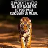 Hebert Diaz - @hebert.diaz37 - TikTok