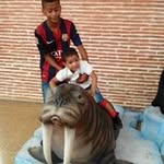 Heberto Dominguez - @dominguezheberto - Instagram