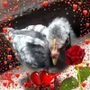 Hector Abarca - @hector.abarca032 - TikTok