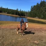 Hector Abarca - @hector.abarca.56863 - Instagram