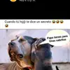 Héctor alba - @hectoralba47 - TikTok