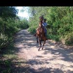 Hector Alejandre - @hector.alejandre.965 - Instagram