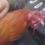 HÉCTOR - @hector_alejandres - Instagram