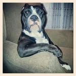 hector araiza troncoso. - @hectoraraizatron - Instagram