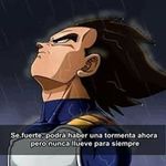 Hector Arreguin - @arreguin.hector - Instagram