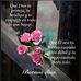 Hector Barbosa Pabon - Facebook