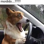 Hector Bernabe Nuñez Ureta - @hectorbernabenunezure - Instagram