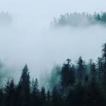Héctor Blake - @hector.blake_25 - Instagram