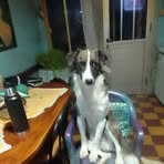 Héctor B Blum - Facebook