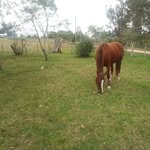 Hector Bondoni - @bondonihector - Instagram