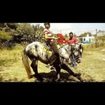 hector alexis nuño borjas - @hector_alexis_nuno_ - Instagram