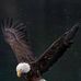 Hector Borquez - Facebook