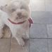 Hector Bello - Facebook