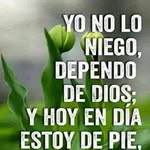 Bran Hector - @hectorbran1967 - Instagram
