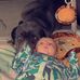 Brandon Hector - Facebook