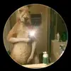 Héctor Brea - @hctor.brea4 - TikTok