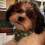 Mark Hector Briggs - @m.briggspersonal - Instagram