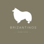 Héctor Briz Sánchez - @hector_roughcollie - Instagram