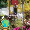 Hector Briza - @hector.briza - TikTok