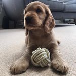 Hector - @hector_brocklebum - Instagram