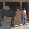 hectorbustos773 - @hectorbustos773 - TikTok