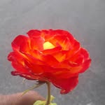 Hector Cabello - @hector.cabello.9469 - Instagram