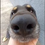 @cainele.hector - Instagram