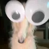 Hector - @hector___calles - TikTok