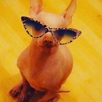 Hector Rodriguez Campbell - @hector.rghegdmsac - Instagram