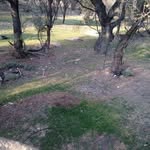 Héctor Candelas - @hector.candelas.1232 - Instagram
