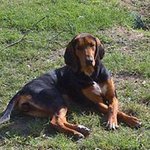 Hector Carreon - @hector.carreon.737 - Instagram