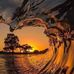 Hector Carreon - Facebook
