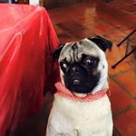 Hector Carreon - @hector.carreon.mendoza - Instagram