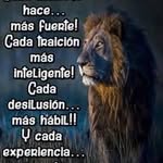 Hector Cevallos - @hectorcevallos18 - Instagram