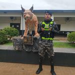 Hector Coronel - @hector_coronel_01 - Instagram