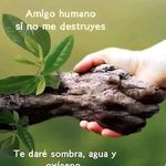 Hector Coronel - @coronelhectorgustavo - Instagram