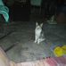 Hector Corzo - Facebook