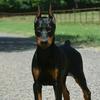 Hector Armando Coy - @hector.armando.co - TikTok