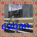 Hector coy - Facebook