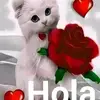 Héctor - @hectorestevez383 - TikTok