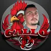 🇭🇳 GALLO🇭🇳🐓❄️🐧🦜 - @hectorgallo50 - TikTok