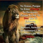 hector garces - @hectorgarcesdiaz10 - Instagram