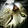 Hector.Gardea - @hector.gardea - TikTok