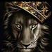 Hector Gray - Facebook