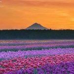 Hector Griffin 813 - @busekaya63960195 - Instagram