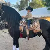 Hector Ibarra - @hector.ibarra61 - TikTok