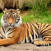 Jacinto Hector Reyes - @jacinto.hector.re - TikTok