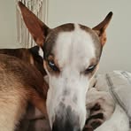 Hector Jackson - Facebook