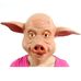 Hector Jansens - Facebook