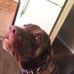 Hector A Johnson - @hector.johnson.712 - Instagram